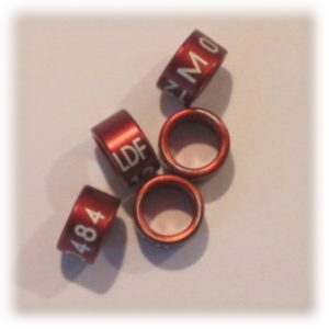 Ringe med egne initialer