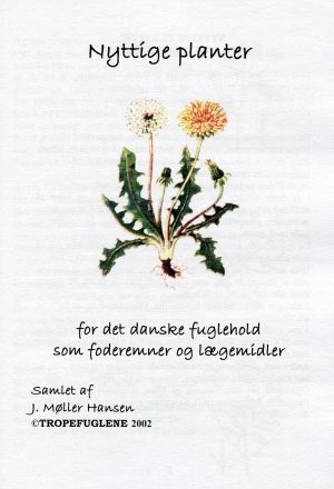 Nyttige planter